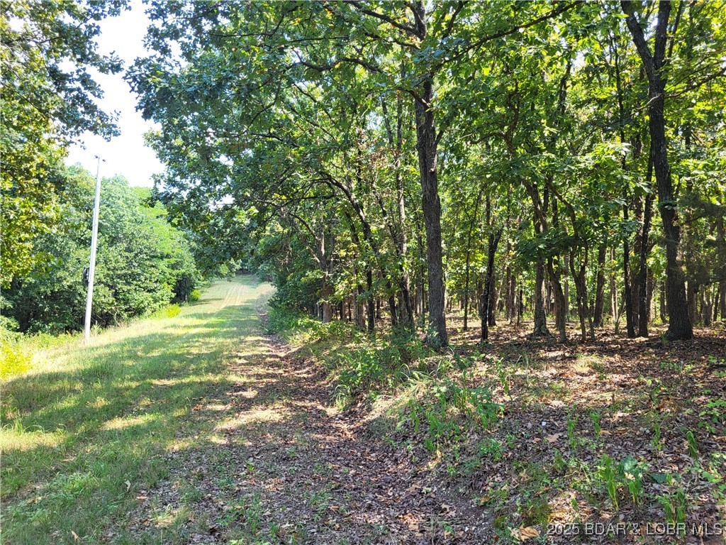 Forbes Lake of the Ozarks - Land