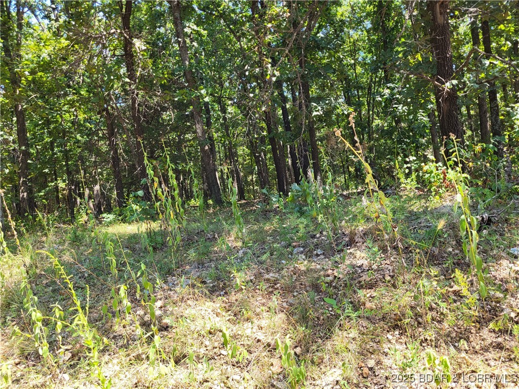 Forbes Lake of the Ozarks - Land