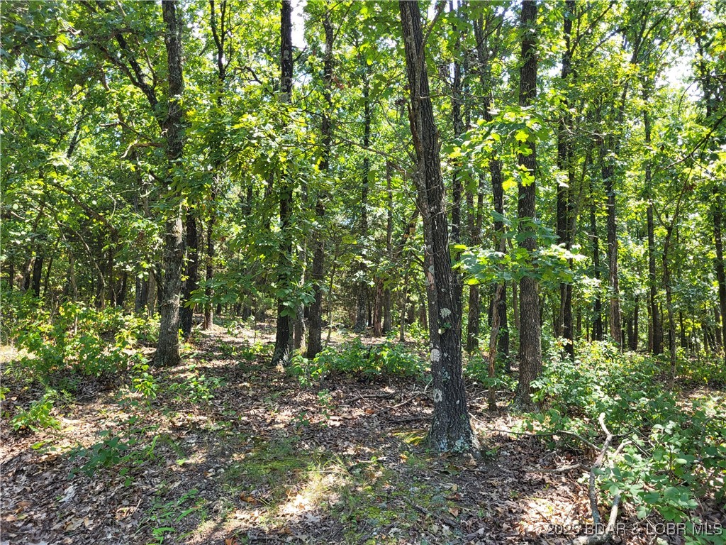 Forbes Lake of the Ozarks - Land