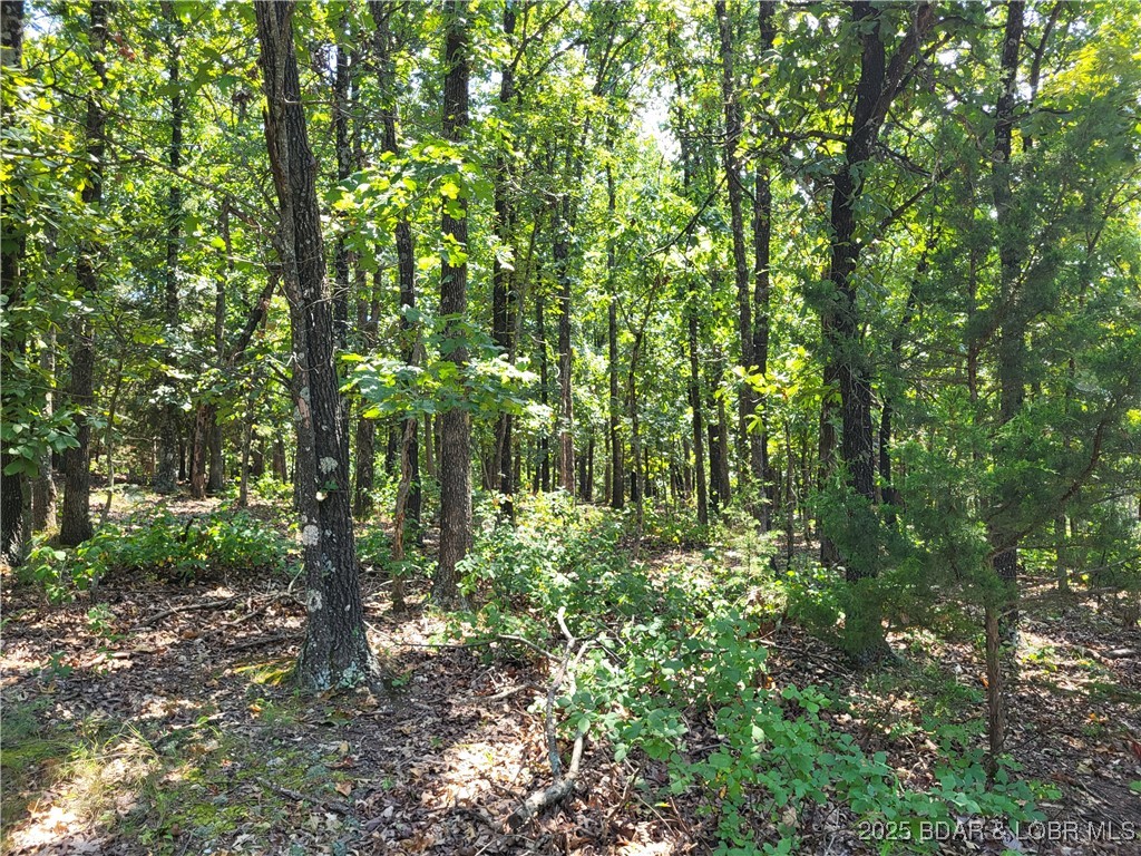 Forbes Lake of the Ozarks - Land