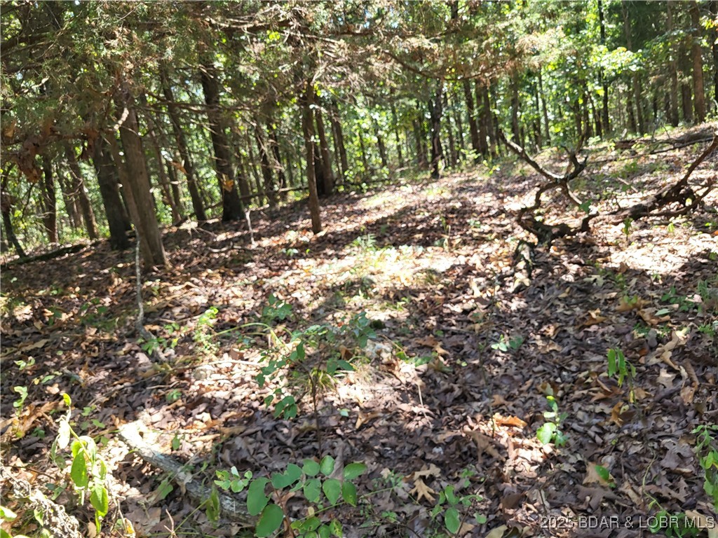 Forbes Lake of the Ozarks - Land