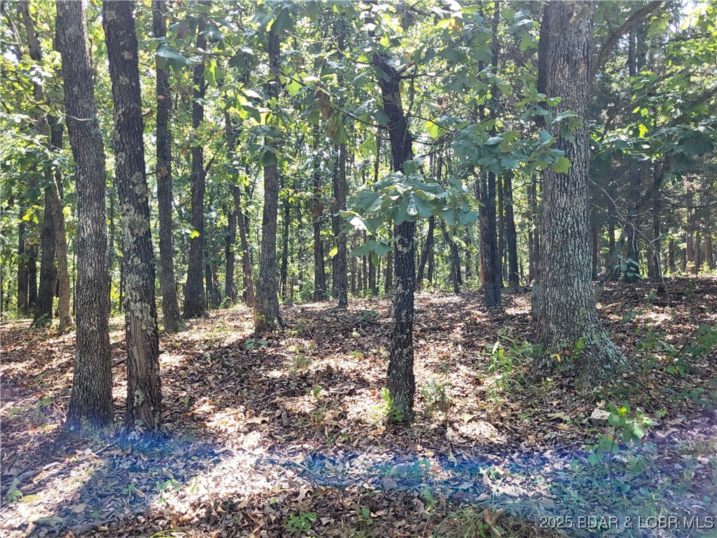 Forbes Lake of the Ozarks - Land