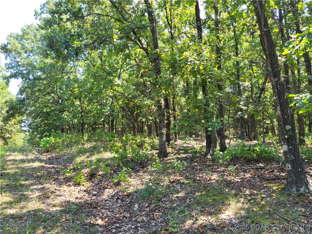 Forbes Lake of the Ozarks - Land