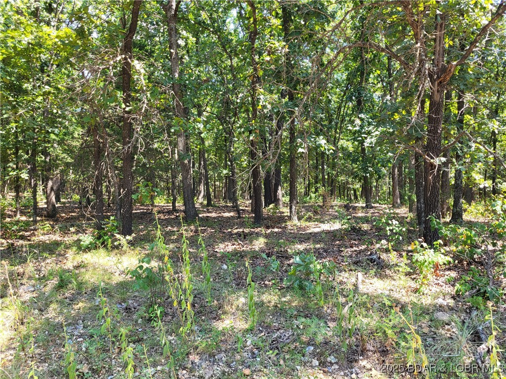 Forbes Lake of the Ozarks - Land