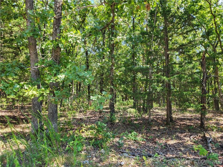 Discover the perfect spot for your dream retreat with this 5-acre parcel located in the desirable Forbes Lake of the Ozarks Park subdivision. Featuring gentle terrain and a beautiful natural setting, this property offers endless possibilities for building or recreation. Electric is conveniently located nearby, making future development simple and cost-effective. Surrounded by abundant wildlife and just minutes from Forbes Lake, you’ll enjoy peace, privacy, and plenty of opportunities for outdoor adventure. This subdivision offers 3 community lakes, 3 boat ramps into Lake of the Ozarks, a tennis court, and so much more. Whether you’re looking to build a getaway cabin, a forever home, or simply invest in land at the Lake of the Ozarks, this property is a rare find.