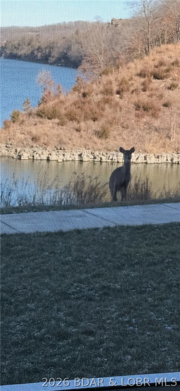 Trinity Pointe Condominiums - Residential