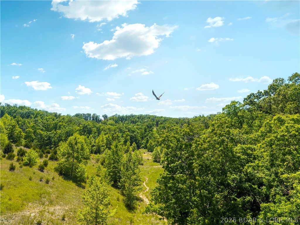 Cross Creek - Land