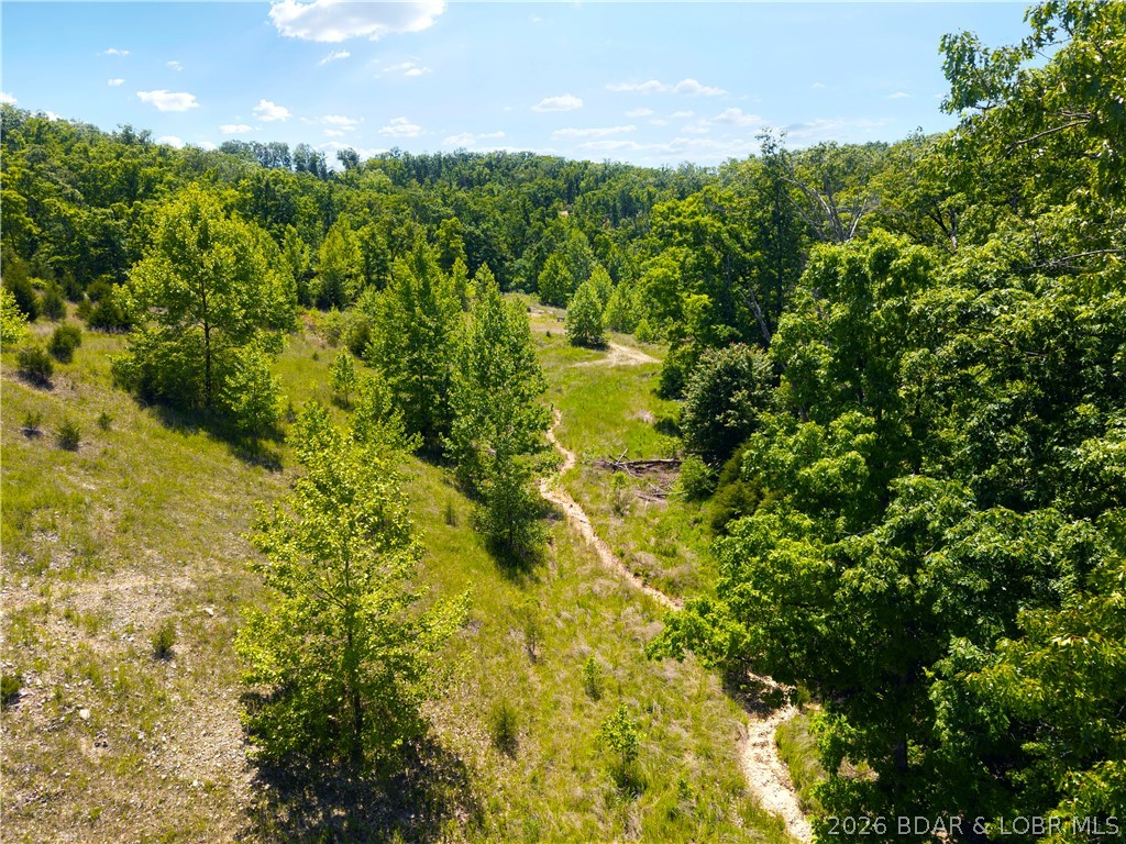 Cross Creek - Land