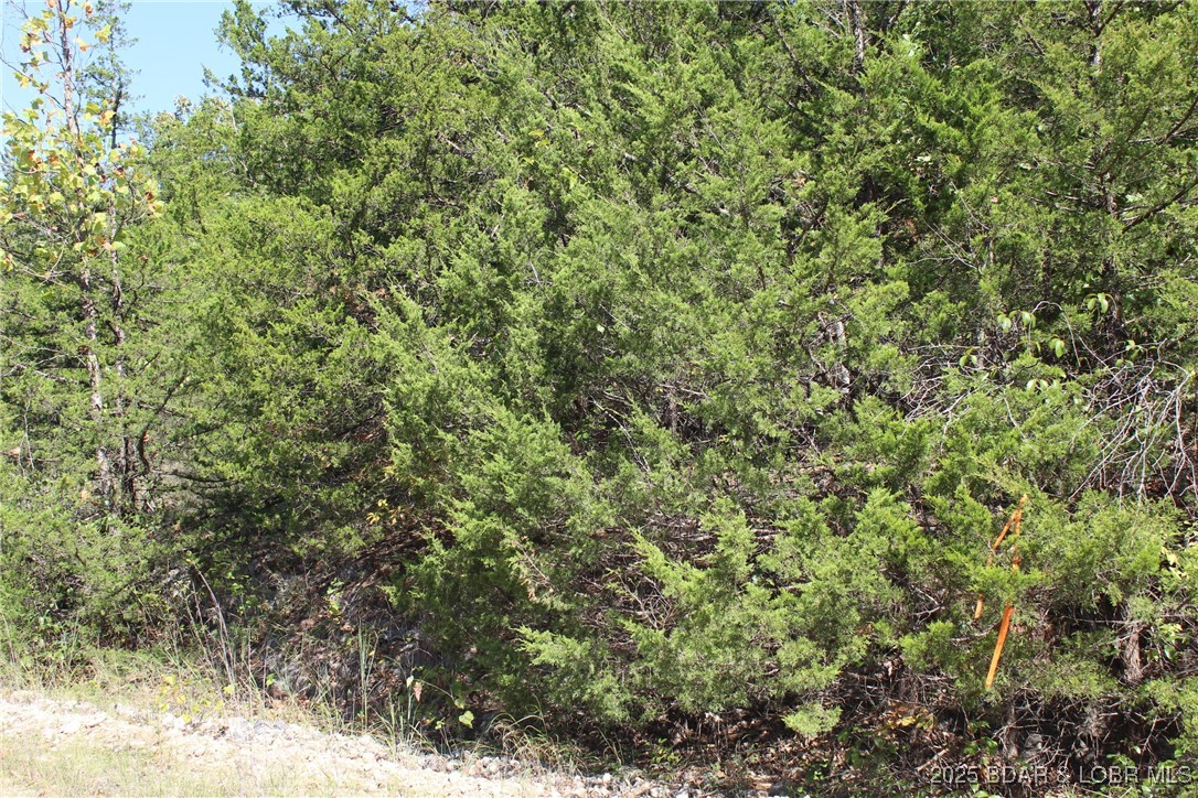 Indian Creek Hills - Land