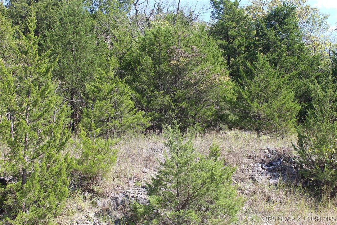 Indian Creek Hills - Land