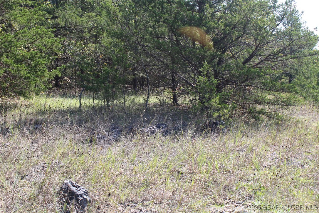 Indian Creek Hills - Land