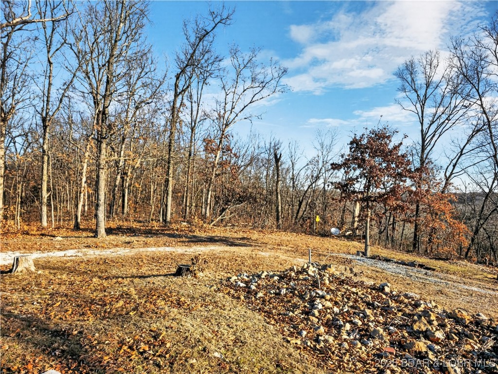 Out of Area - Residential