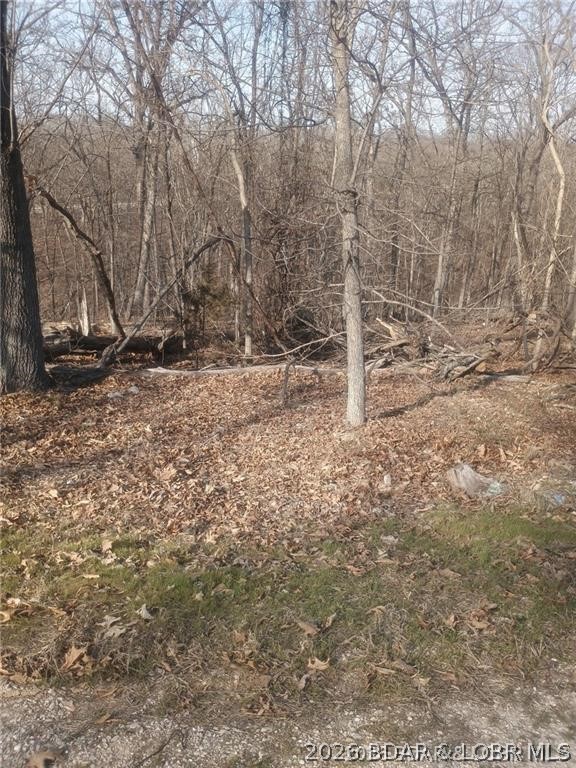 Cornett Cove No. 1 - Land