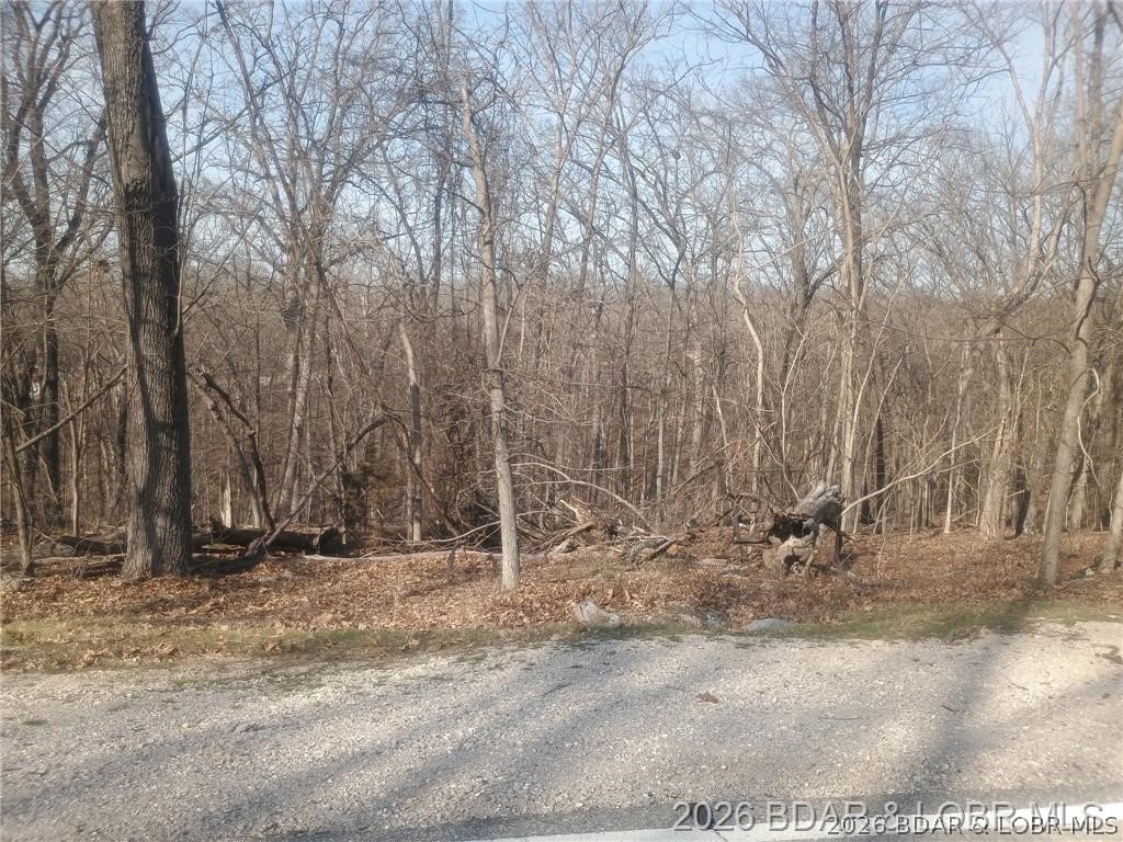 Cornett Cove No. 1 - Land