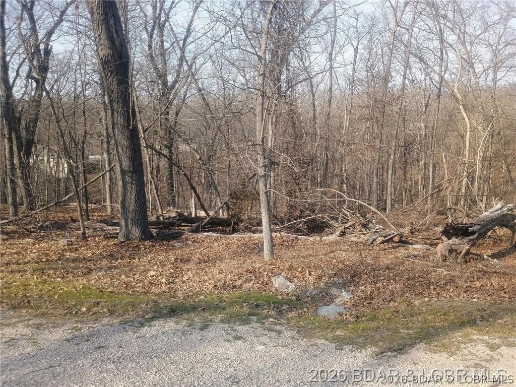 Cornett Cove No. 1 - Land