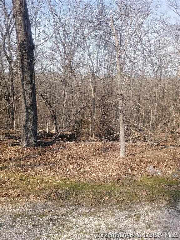 Cornett Cove No. 1 - Land