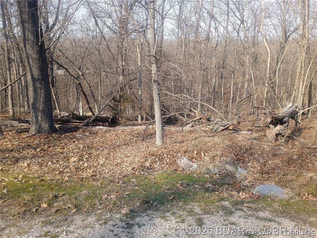 Cornett Cove No. 1 - Land