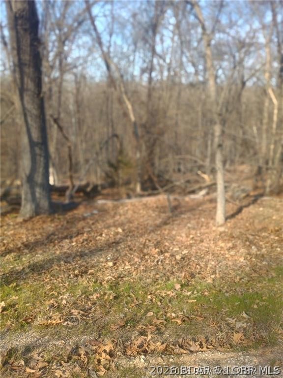 Cornett Cove No. 1 - Land