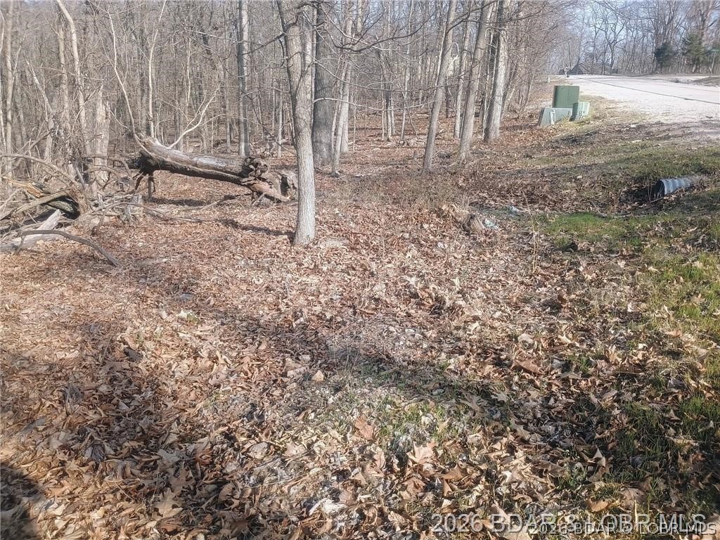 Cornett Cove No. 1 - Land