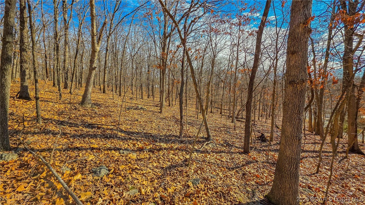 Grand Point No. 2 - Land