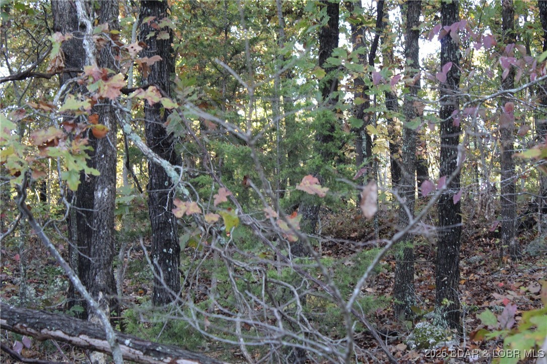 Indian Creek Hills - Land