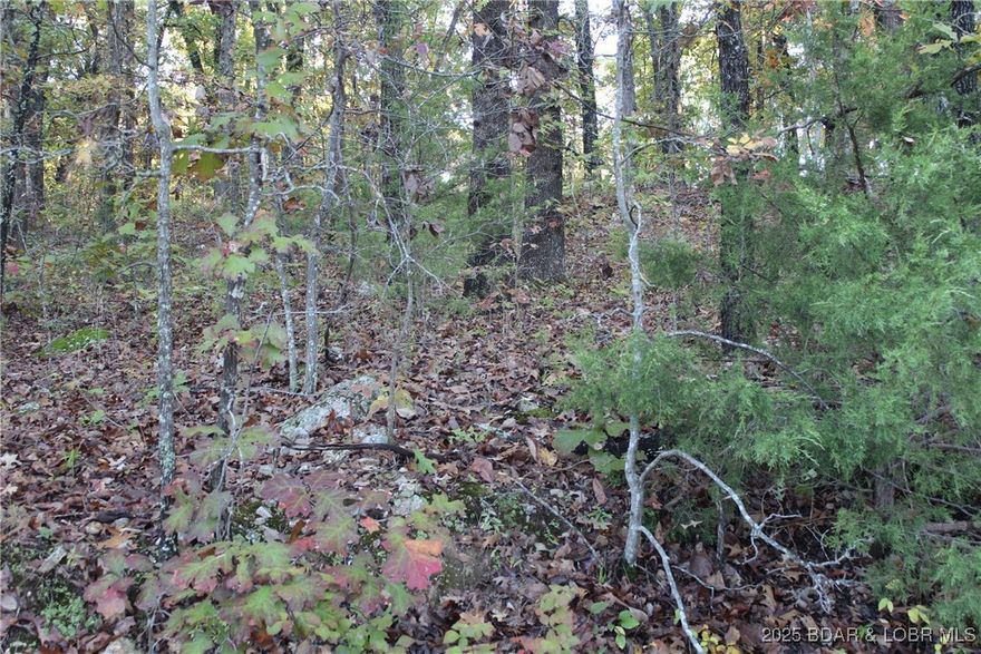 0.2± acre lot in the Indian Creek Hills subdivision, offering a moderately sloped, wooded setting with mature trees and an easy build site. Enjoy community amenities including a campground, access to Pocohantas Lake and Lake of the Ozarks, nearby hunting areas, and abundant outdoor recreation. Low POA dues help maintain roads and shared areas. Bring your building plans or park a camper and enjoy the natural setting and peaceful community.