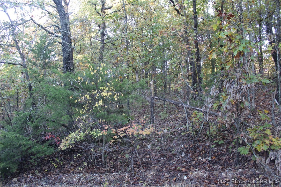 Indian Creek Hills - Land