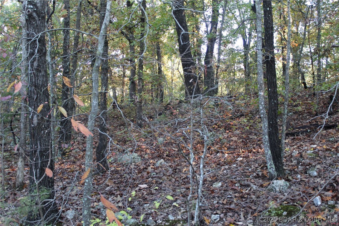 Indian Creek Hills - Land