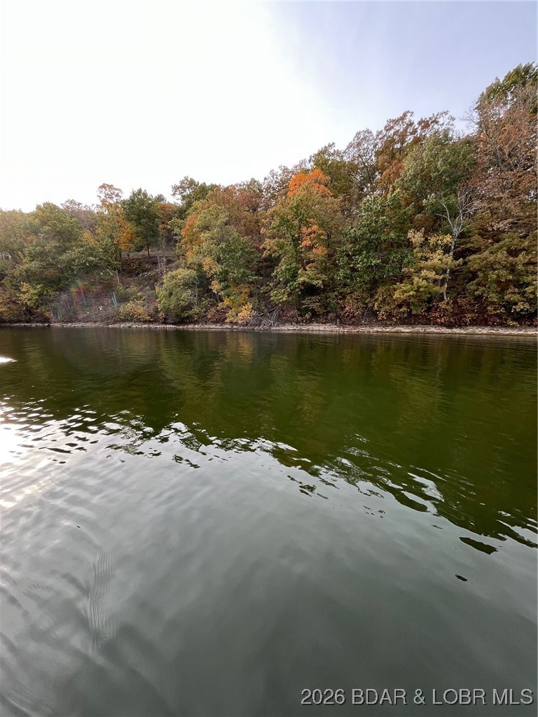 Hidden Treasures - Land