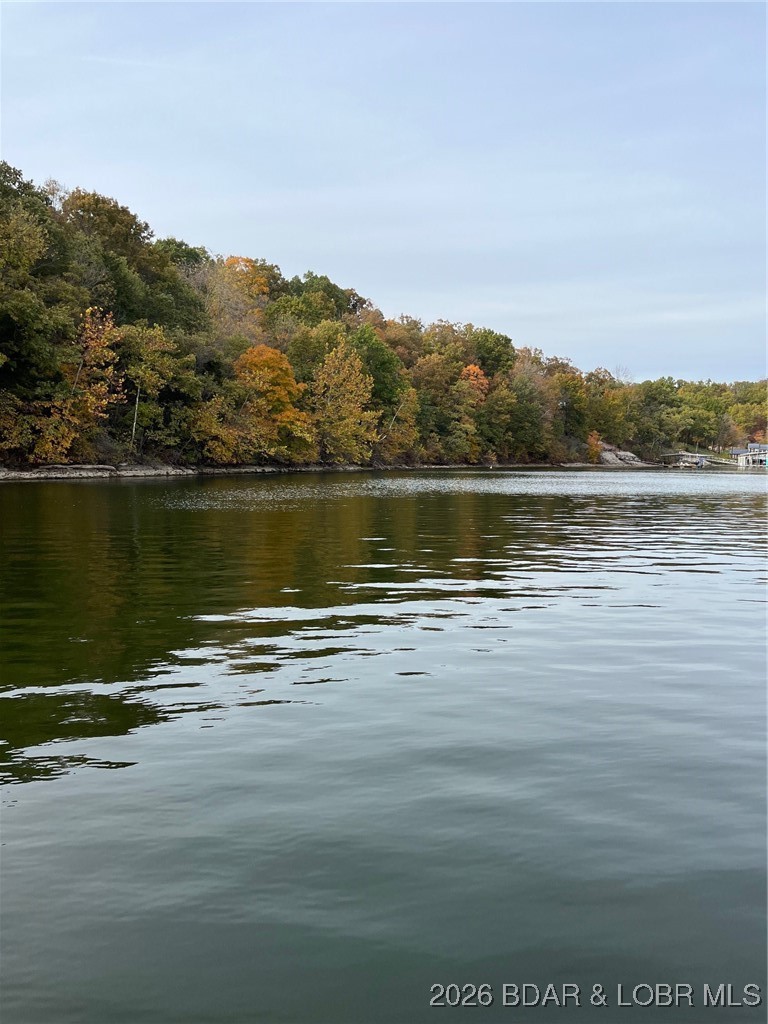 Hidden Treasures - Land