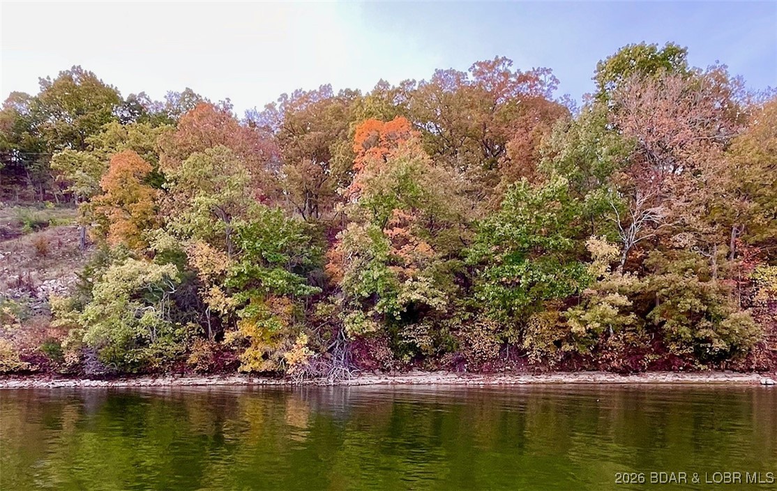 Hidden Treasures - Land