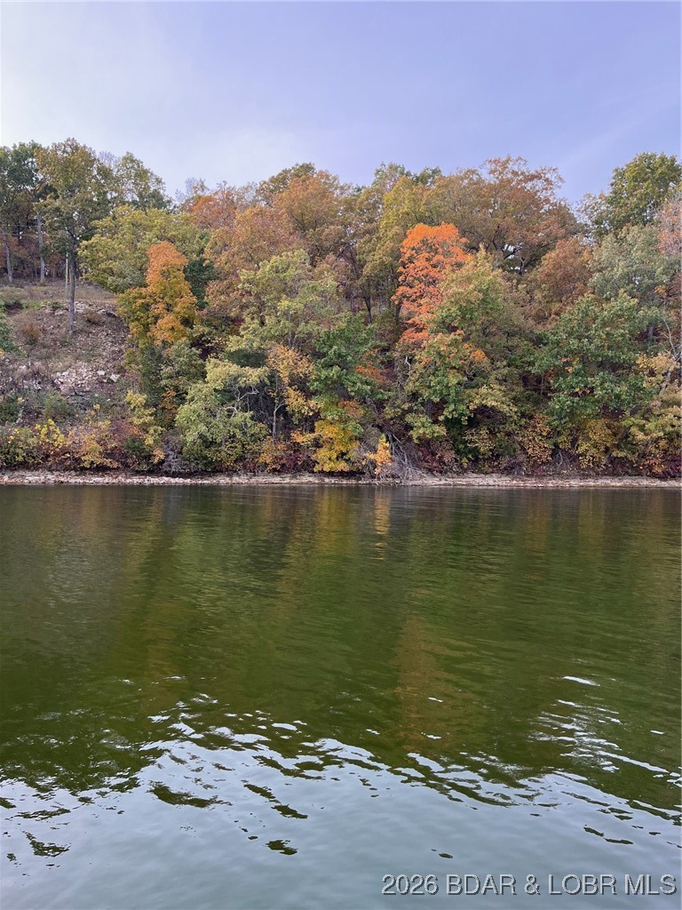 Hidden Treasures - Land