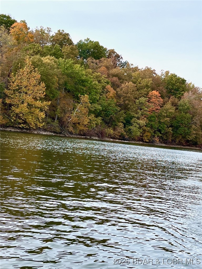 Hidden Treasures - Land