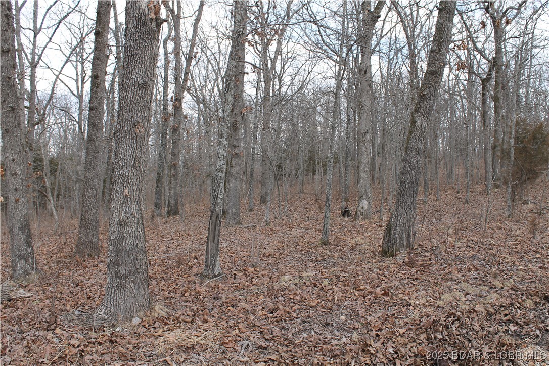 Forbes Lake of the Ozarks - Land