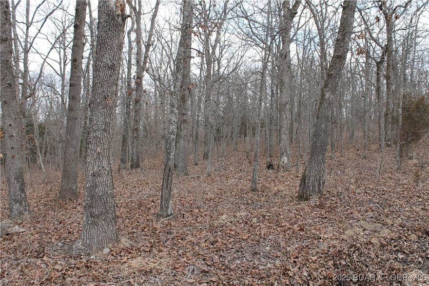 You’ve found the perfect place! This ideal-sized lot is ready for your dream home or the perfect weekend getaway. Nestled within the peaceful serenity of the gated Forbes Lake of the Ozarks community, you’ll enjoy abundant deer, turkey, and other wildlife right outside your door. Forbes offers an impressive list of amenities including 3 interior lakes, 3 boat ramps with access to the calmer side of Lake of the Ozarks, tennis court, RV park, day docks, and so much more. Whether you’re looking for relaxation, recreation, or both—this property delivers. Don’t let this opportunity pass you by!