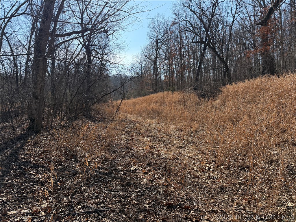 None - Land
