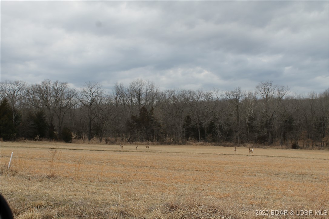 Forbes Lake of the Ozarks - Land