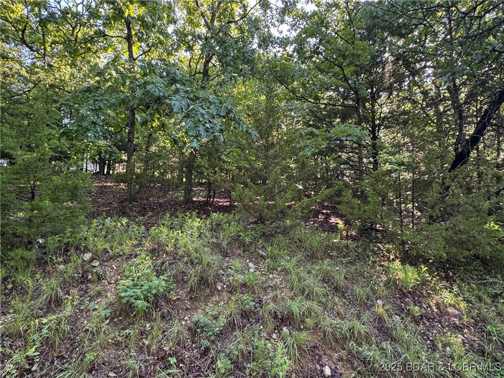 Cambridge Lake Estates - Land