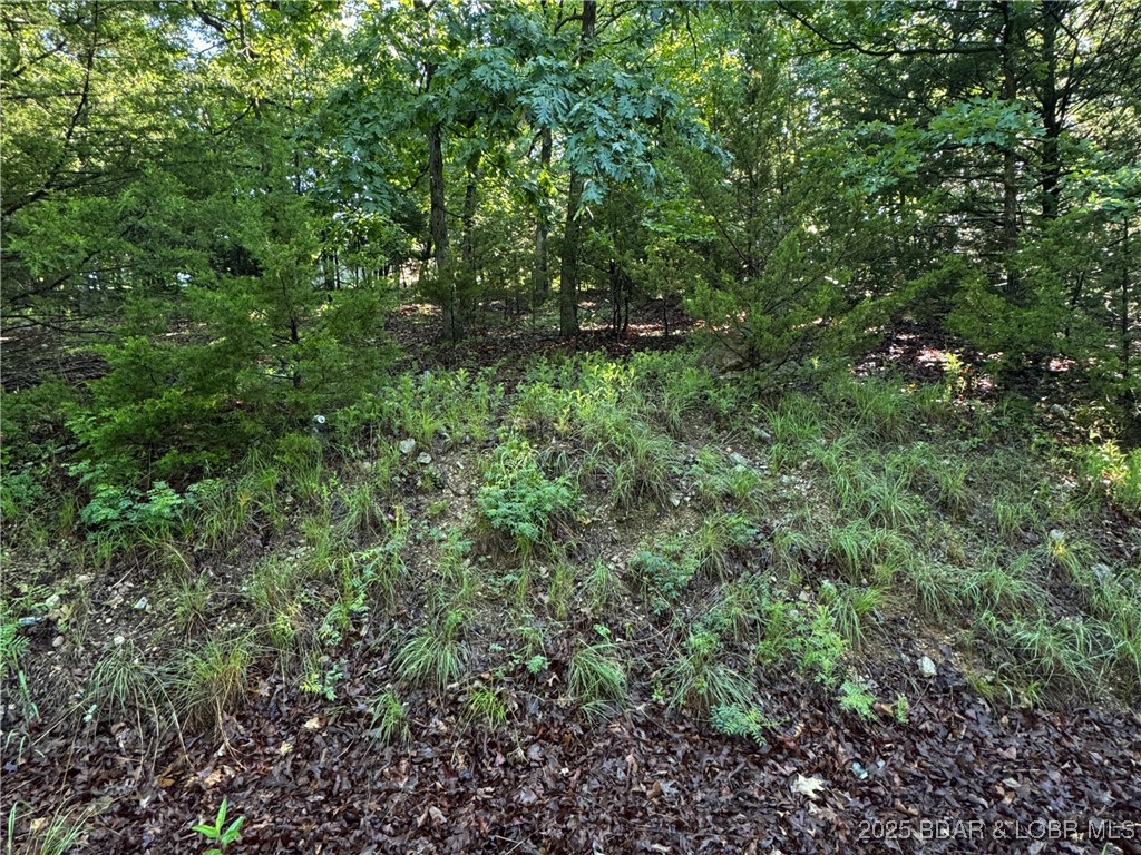 Cambridge Lake Estates - Land