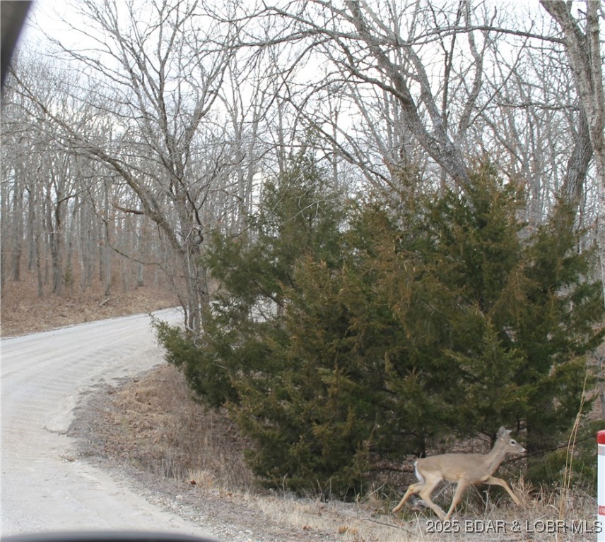 Forbes Lake of the Ozarks - Land