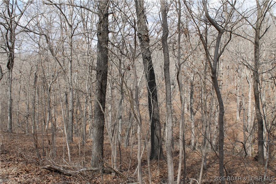 Perfect lot to build your dream home or weekend retreat! Located in the gated Forbes Lake of the Ozarks Park, you’ll enjoy peaceful surroundings, abundant deer, turkey, and wildlife. Community amenities include 3 interior lakes, 3 boat ramps to the calmer side of Lake of the Ozarks, tennis courts, RV park, and more. Don’t miss this opportunity!