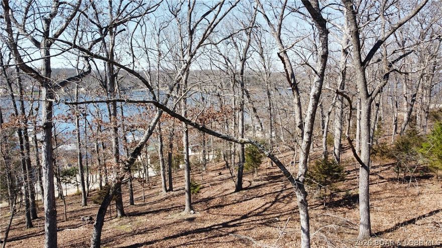 Beautiful 1.2 acre lakeview lot in great location with gently slope. Enjoy the calmer water of the Gravois Arm with a great 2nd tier lot in Johnson's Bay. Paved roads all the way to the property. Lot is accessible from Greybill Rd or an easement at top of lot which makes great options for your build. Includes access to a subdivision boat ramp at the beautiful 3mm. This location has great road access to Millstone Marina.