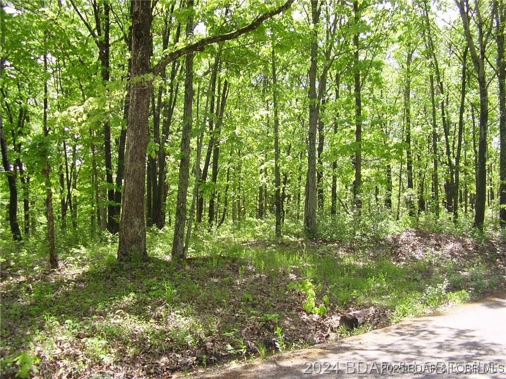 Forbes Lake of the Ozarks - Land