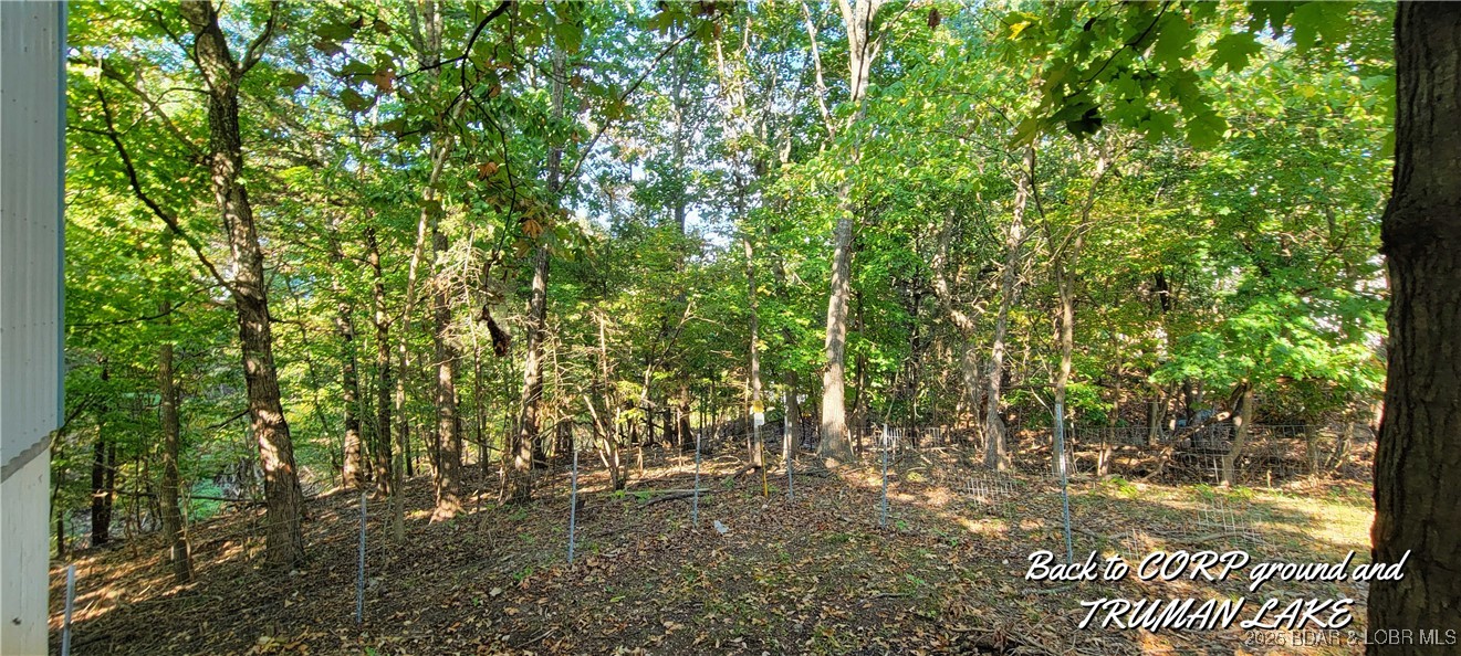 Out of Area - Residential