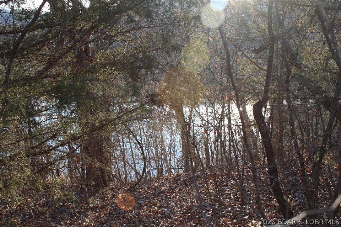 Indian Creek Hills - Land