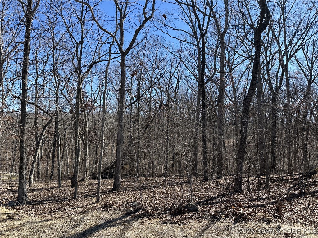 Cornett Cove No. 5 - Land