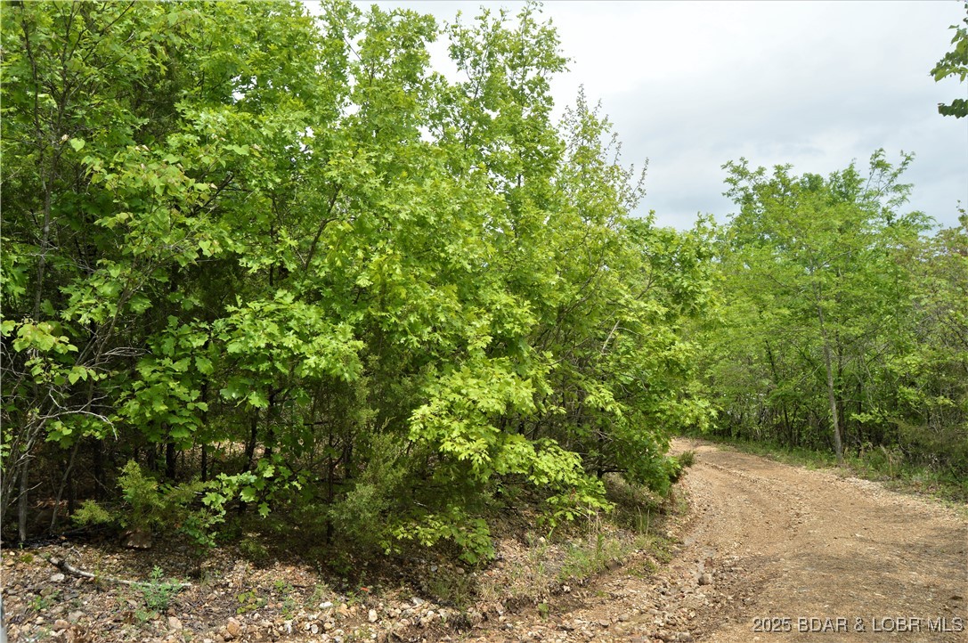 Mill Creek Acres - Land