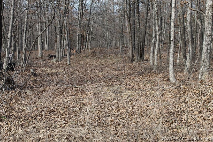 Triangular parcel in Proctor Tower Estates just 10 minutes north of Laurie on Hwy 135 and only 4 miles to lake access in Proctor Cove. Nice setting for a hunting cabin, camping spot or build your dream acreage! Come tour your new slice of the Ozarks today!