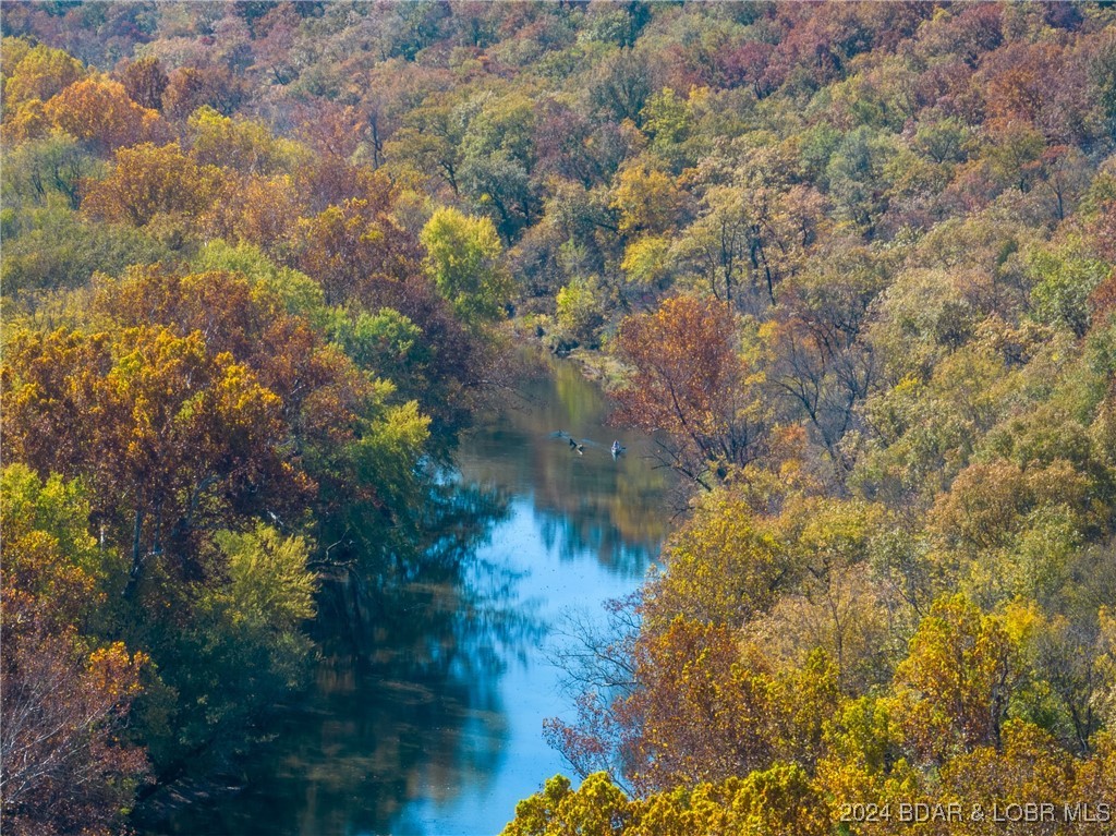 Lebanon, Missouri 65536, United States, ,Land,Contingent,25021