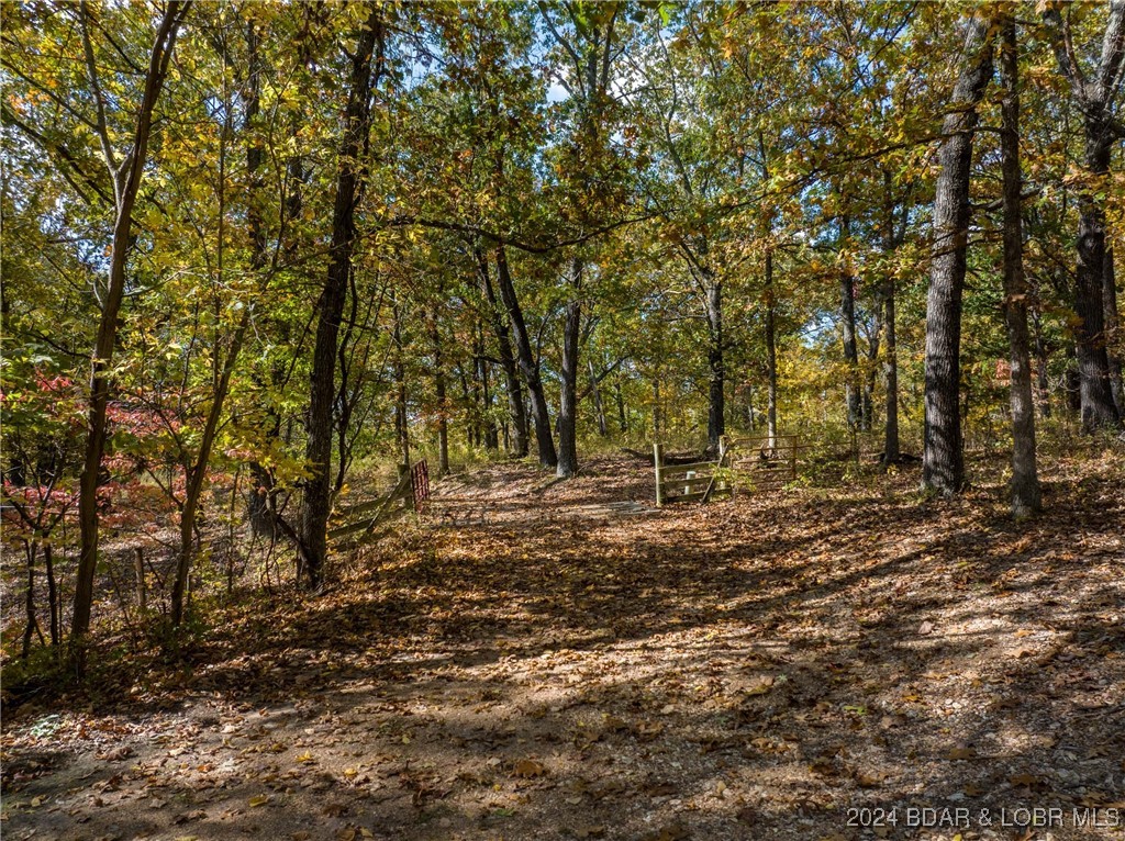 Lebanon, Missouri 65536, United States, ,Land,Contingent,25021